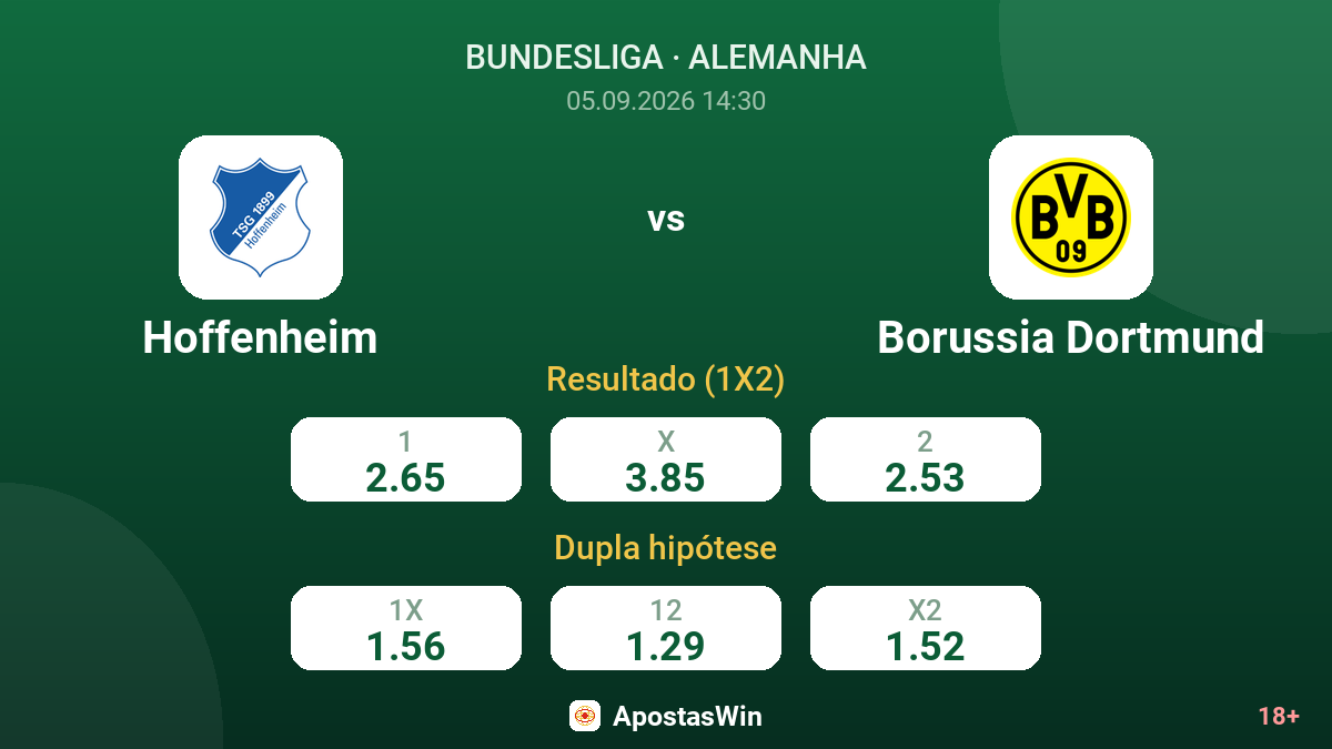 Hoffenheim – Borussia Dortmund — odds