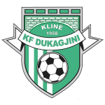 Dukagjini logótipo